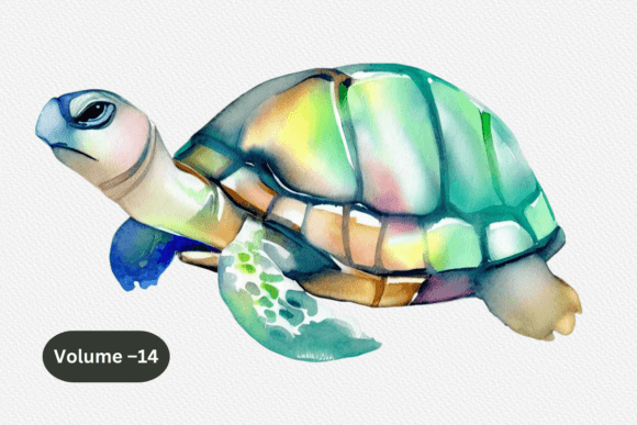 Download Watercolor Sea Turtle Sublimation PNG - Turtle sublimation Collection